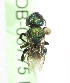  ( - CCDB-03775 F08)  @12 [ ] CreativeCommons - Attribution Non-Commercial Share-Alike (2010) Unspecified York University