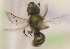  ( - CCDB-22790 H07)  @12 [ ] PCYU (2014) Unspecified York University