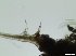  ( - BYTHO_2022_15)  @11 [ ] CreativeCommons  Attribution Non-Commercial Share-Alike (2020) Unspecified University of Bialystok
