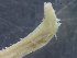  ( - 616_CB_2)  @11 [ ] © Copyright Government of Canada (2017) Unspecified DFO