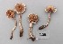  ( - TEB 369-15)  @11 [ ] CreativeCommons - Attribution Non-Commercial Share-Alike (2017) Unspecified Norwegian Institution for Nature Research
