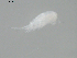  ( - BIOUG01746-C01)  @12 [ ] CreativeCommons - Attribution (2012) Rob Young Centre for Biodiversity Genomics