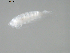  ( - BIOUG01746-E06)  @13 [ ] CreativeCommons - Attribution (2012) Rob Young Centre for Biodiversity Genomics
