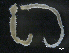  ( - BIOUG01748-G11)  @12 [ ] CreativeCommons - Attribution (2013) Rob Young Centre for Biodiversity Genomics