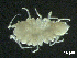  ( - BIOUG01748-H05)  @11 [ ] CreativeCommons - Attribution (2013) Rob Young Centre for Biodiversity Genomics