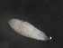 ( - BIOUG01749-F11)  @12 [ ] CreativeCommons - Attribution (2012) Rob Young Centre for Biodiversity Genomics