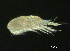  ( - BIOUG04840-A11)  @13 [ ] CreativeCommons - Attribution (2013) Rob Young Centre for Biodiversity Genomics