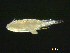  ( - BIOUG04840-A12)  @13 [ ] CreativeCommons - Attribution (2013) Rob Young Centre for Biodiversity Genomics