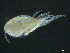  ( - BIOUG04840-D12)  @12 [ ] CreativeCommons - Attribution (2013) Rob Young Centre for Biodiversity Genomics