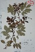  ( - Alvarez315)  @11 [ ] Unspecified (default): All Rights Reserved  Gerardo Salazar 2010 Unspecified