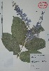  ( - Alvarez4276)  @11 [ ] Unspecified (default): All Rights Reserved  Gerardo Salazar 2010 Unspecified