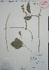  ( - Alvarez479)  @11 [ ] Unspecified (default): All Rights Reserved  Gerardo Salazar 2010 Unspecified