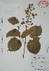  ( - Alvarez6210)  @11 [ ] Unspecified (default): All Rights Reserved  Gerardo Salazar 2010 Unspecified