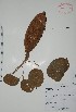  ( - Alvarez7857)  @11 [ ] Unspecified (default): All Rights Reserved  Gerardo Salazar 2010 Unspecified