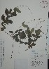  ( - Alvaro179)  @11 [ ] Unspecified (default): All Rights Reserved  Gerardo Salazar 2010 Unspecified