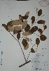  ( - Alvaro746)  @11 [ ] Unspecified (default): All Rights Reserved  Gerardo Salazar 2010 Unspecified