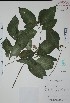  ( - Mtz27892)  @11 [ ] Unspecified (default): All Rights Reserved  Gerardo Salazar 2010 Unspecified