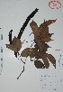  ( - Mtz27901)  @11 [ ] Unspecified (default): All Rights Reserved  Unspecified Unspecified