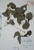  ( - Mtz28047A)  @11 [ ] Unspecified (default): All Rights Reserved  Unspecified Unspecified