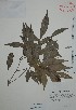  ( - Mtz28280)  @11 [ ] Unspecified (default): All Rights Reserved  Unspecified Unspecified