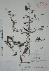  ( - Mtz28618)  @11 [ ] Unspecified (default): All Rights Reserved  Unspecified Unspecified