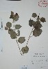  ( - Mtz28667A)  @11 [ ] Unspecified (default): All Rights Reserved  Unspecified Unspecified