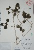  ( - Mtz30912)  @11 [ ] Unspecified (default): All Rights Reserved  Grerardo Salazar 2010 Unspecified