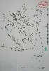 ( - Mtz31326A)  @11 [ ] Unspecified (default): All Rights Reserved  Grerardo Salazar 2010 Unspecified