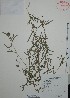  ( - Mtz31336)  @11 [ ] Unspecified (default): All Rights Reserved  Grerardo Salazar 2010 Unspecified