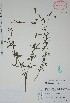  ( - Mtz35424)  @11 [ ] Unspecified (default): All Rights Reserved  Grerardo Salazar 2010 Unspecified