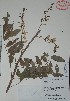  ( - Mtz35431)  @11 [ ] Unspecified (default): All Rights Reserved  Grerardo Salazar 2010 Unspecified