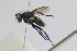  ( - MACN-EN-DIP2023-00A7)  @11 [ ] CC BY-NC-ND 4.0  Unspecified Unspecified