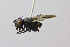  ( - MACN-EN-DIP2023-00AA4)  @11 [ ] CC BY-NC-ND 4.0  Unspecified Unspecified