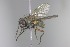  ( - MACN-EN-DIP2024-00BB10)  @11 [ ] CC BY-NC-ND 4.0  Unspecified Unspecified