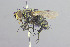  ( - MACN-EN-DIP2023-00C2)  @11 [ ] CC BY-NC-ND 4.0  Unspecified Unspecified