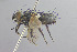  ( - MACN-EN-DIP2023-00C8)  @11 [ ] CC BY-NC-ND 4.0  Unspecified Unspecified