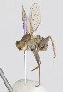  ( - MACN-EN-DIP2024-00CC12)  @11 [ ] CC BY-NC-ND 4.0  Unspecified Unspecified