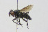  ( - MACN-EN-DIP2023-00CC5)  @11 [ ] CC BY-NC-ND 4.0  Unspecified Unspecified