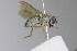  ( - MACN-EN-DIP2024-00CCC12)  @11 [ ] CC BY-NC-ND 4.0  Unspecified Unspecified