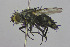  ( - MACN-EN-DIP2023-00E7)  @11 [ ] CC BY-NC-ND 4.0  Unspecified Unspecified