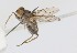  ( - MACN-EN-DIP2024-00EE4)  @11 [ ] CC BY-NC-ND 4.0  Unspecified Unspecified
