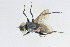  ( - MACN-EN-DIP2023-00F9)  @11 [ ] CC BY-NC-ND 4.0  Unspecified Unspecified