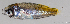  ( - C001_003)  @11 [ ] CreativeCommons Attribution ShareAlike (2021) Adeline Collet OCEA Consult