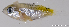  ( - C005_002)  @11 [ ] CreativeCommons Attribution ShareAlike (2021) Adeline Collet OCEA Consult