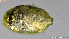  ( - C009_002)  @11 [ ] CreativeCommons Attribution ShareAlike (2021) Adeline Collet OCEA Consult