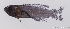  ( - C057_001)  @11 [ ] CreativeCommons Attribution ShareAlike (2021) Adeline Collet OCEA Consult