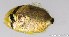  ( - C059_005)  @11 [ ] CreativeCommons Attribution ShareAlike (2021) Adeline Collet OCEA Consult