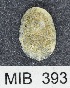  ( - MIB393)  @11 [ ] Copyright (2016) Unspecified DFO