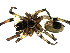 ( - CBG-A54265-H05)  @11 [ ] CC0 (2025) Unspecified Unspecified