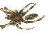  ( - CBG-A54265-H05)  @11 [ ] CC0 (2025) Unspecified Unspecified